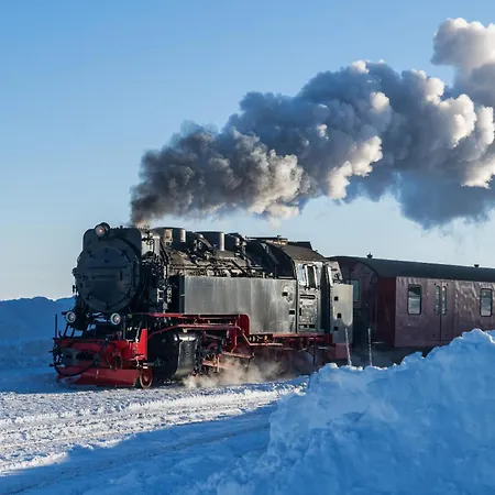 Gaestehaus Nietmann_ 7 Apartment Altenau (Lower-Saxony)