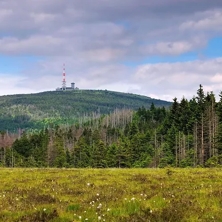 Apartment Nietmann_ 7 *